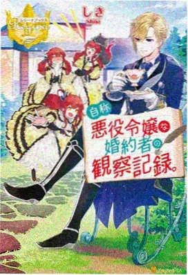 宏观数据发布窗口条目的唱片封面示意图